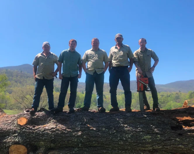 Rose Tree Service Team